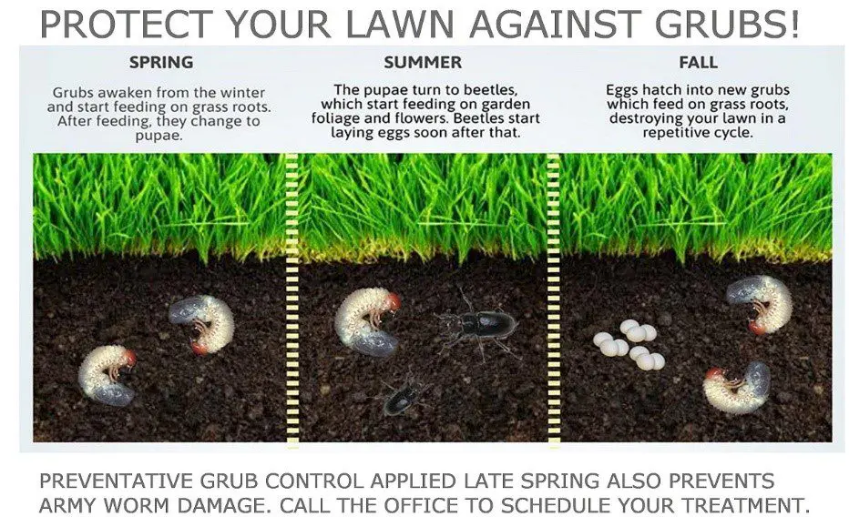 A picture of the instructions for how to get rid of lawn bugs.